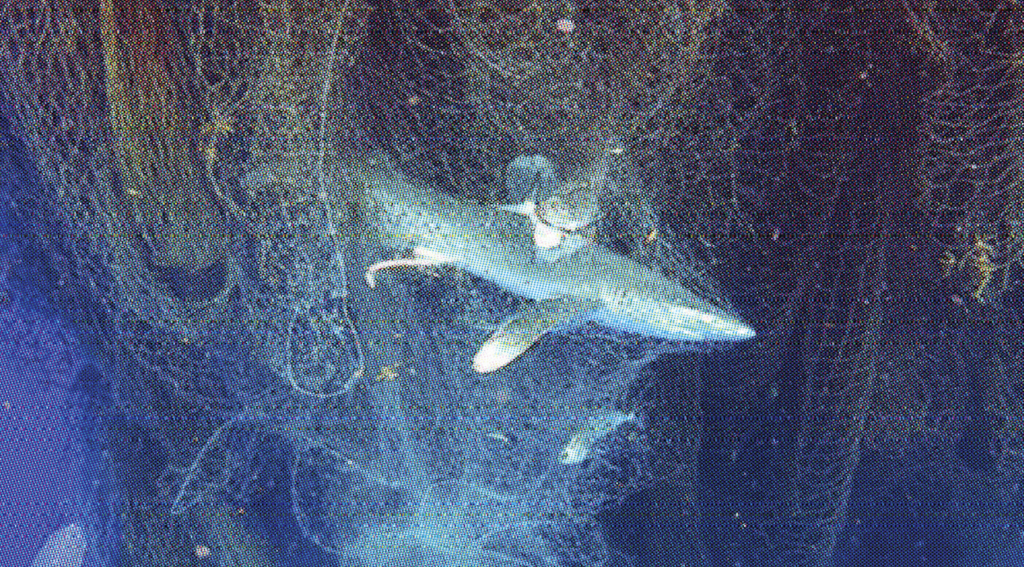 ISTANBUL’74, 16. CONTEMPORARY İSTANBUL SANAT FUARI’NDA