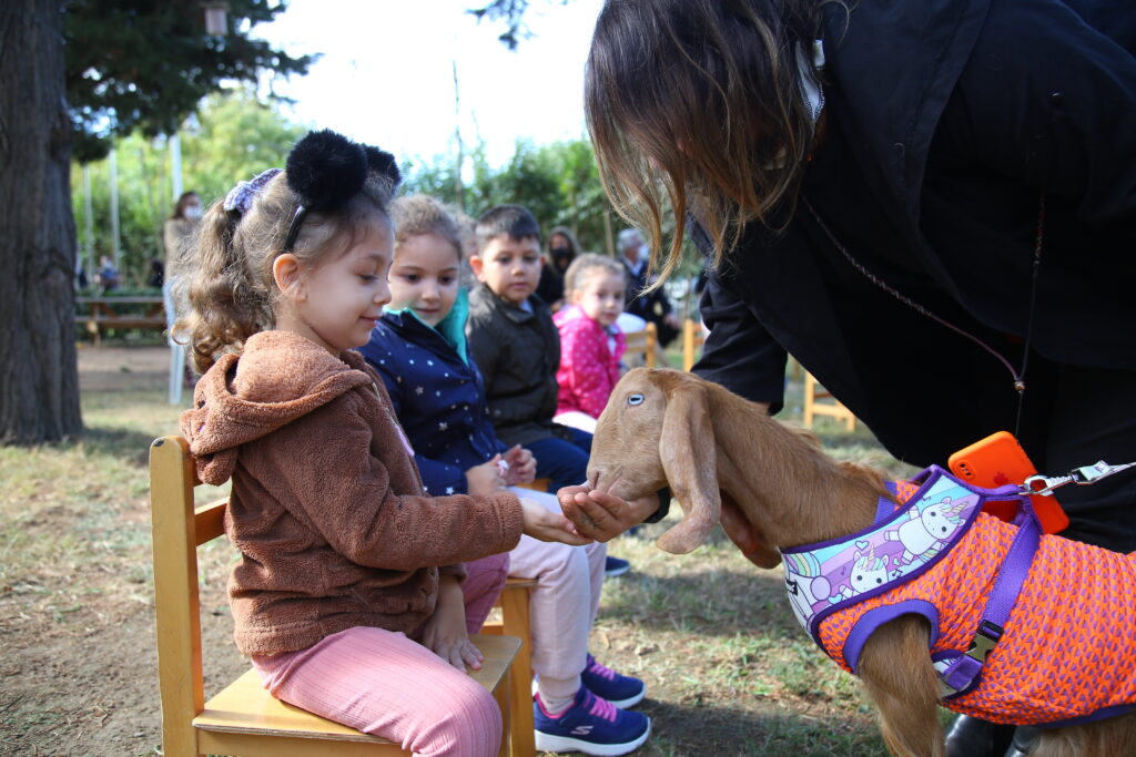HAYVANLARI KORUMA GÜNÜ KADIKÖY’DE ÇOCUKLARLA BİRLİKTE KUTLANDI