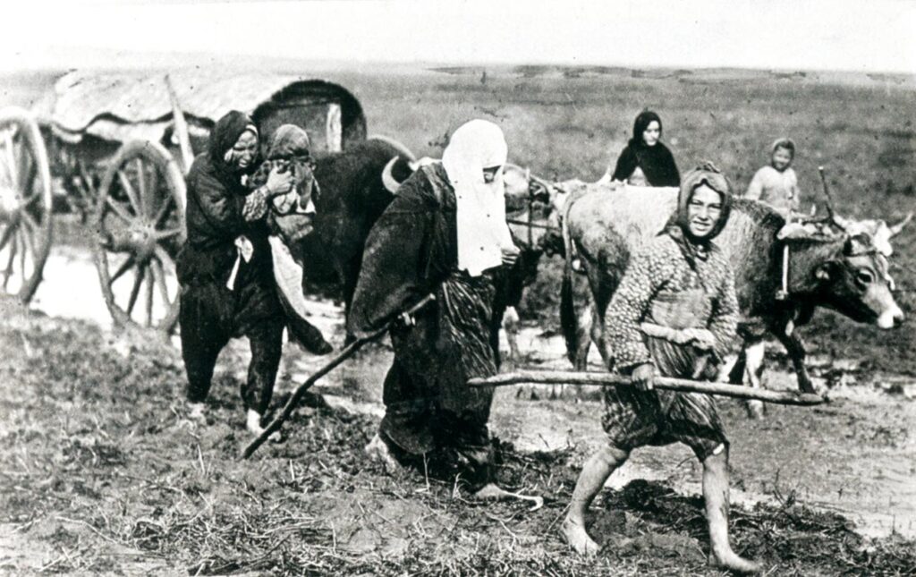 BİZ RUMELİYİZ PLATFORMUNDAN 15 DİLDE ÇAĞRI