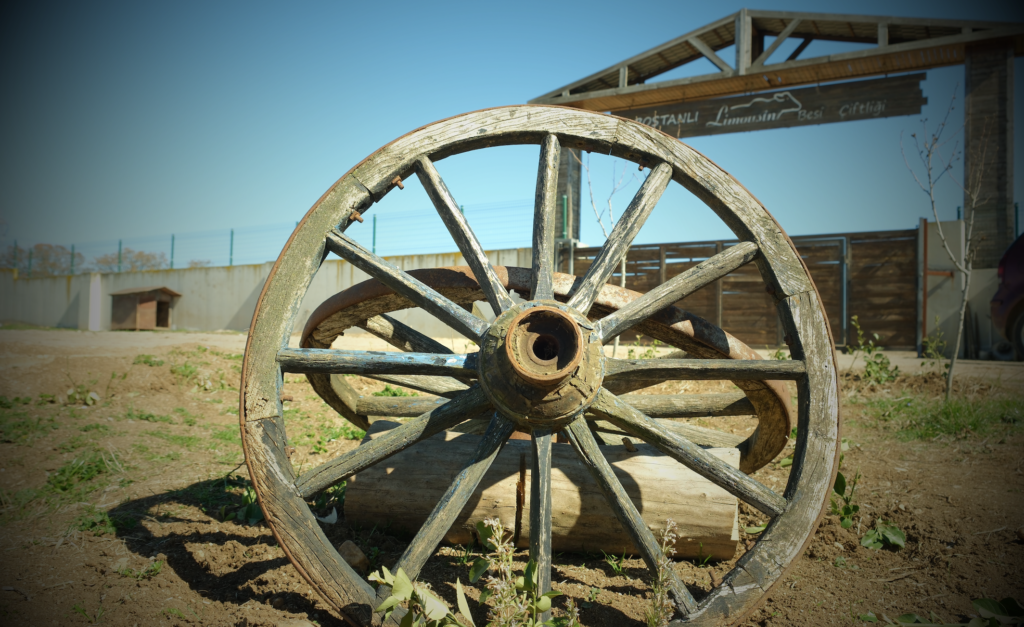 Bostanlı Limousin Besi Çiftliği: Örnek Besicilik