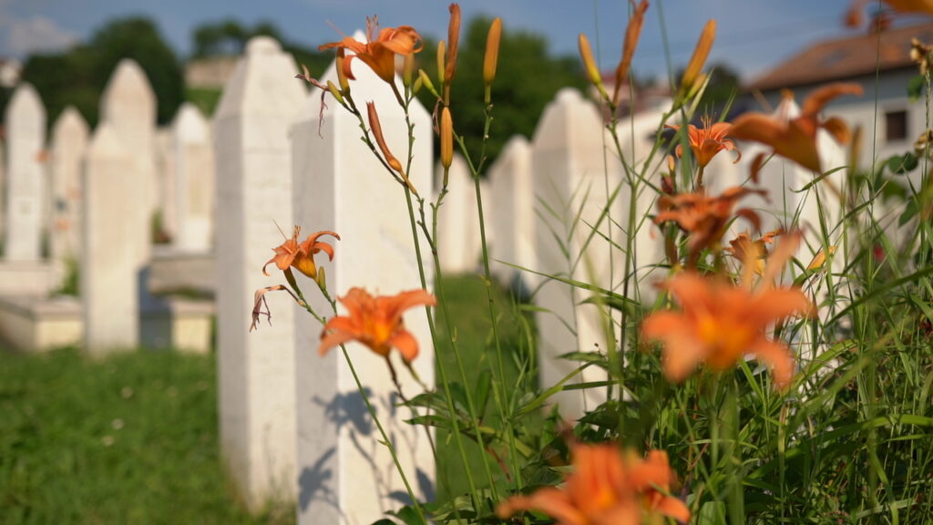 Srebrenitsa Belgeseli Festivaller İçin Gün Sayıyor